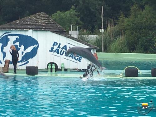 Sortie scolaire à planète sauvage pour les MS